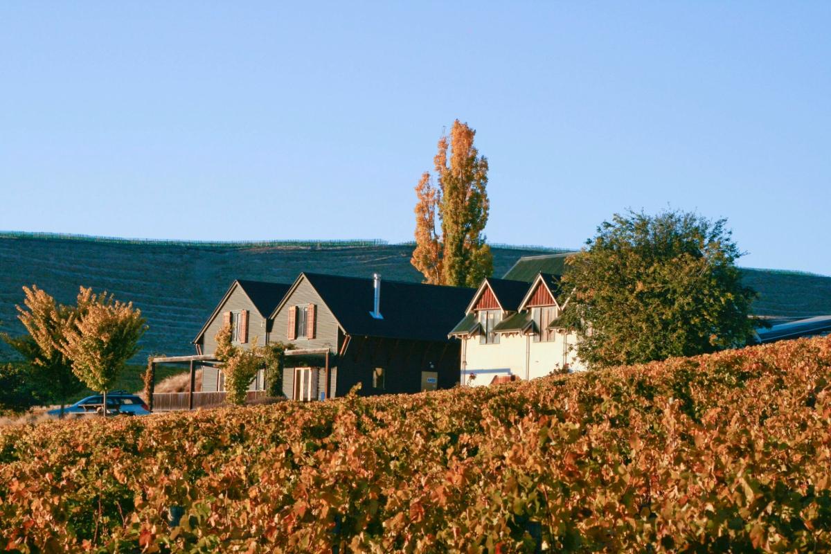 Producer profile: Felton Road Wines